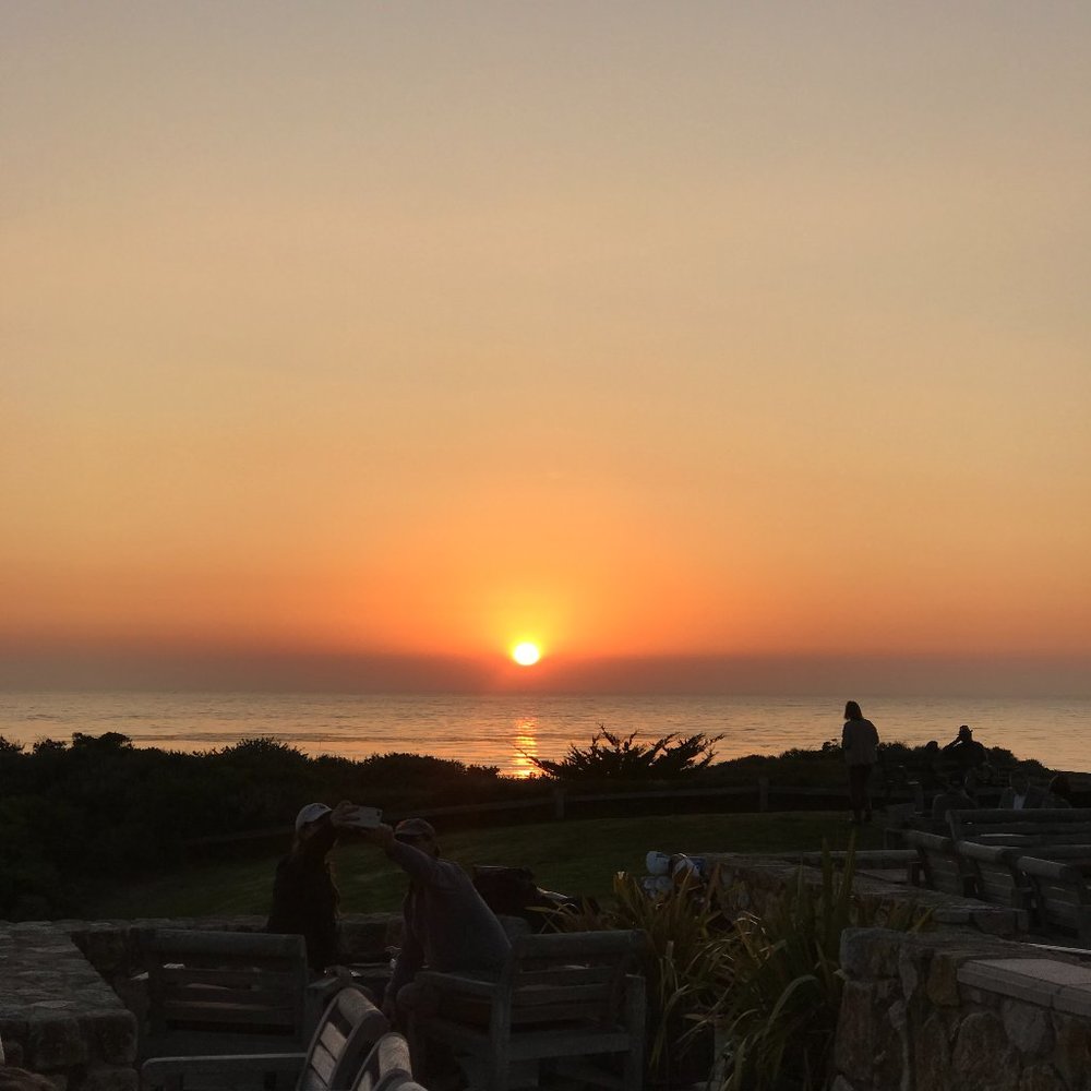 Meet your Posher, Robyn